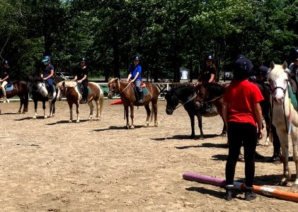 Session régulière