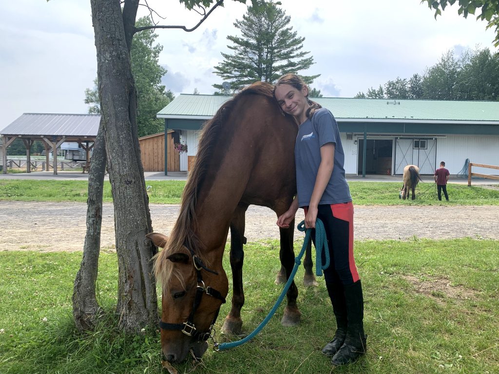 L'animal - CHEVAL QUEBEC